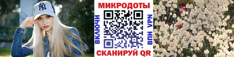 что такое   Шиханы  Псилоцибиновые грибы Cubensis 