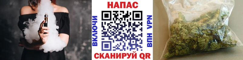 Шишки марихуана Ganja  Шиханы 